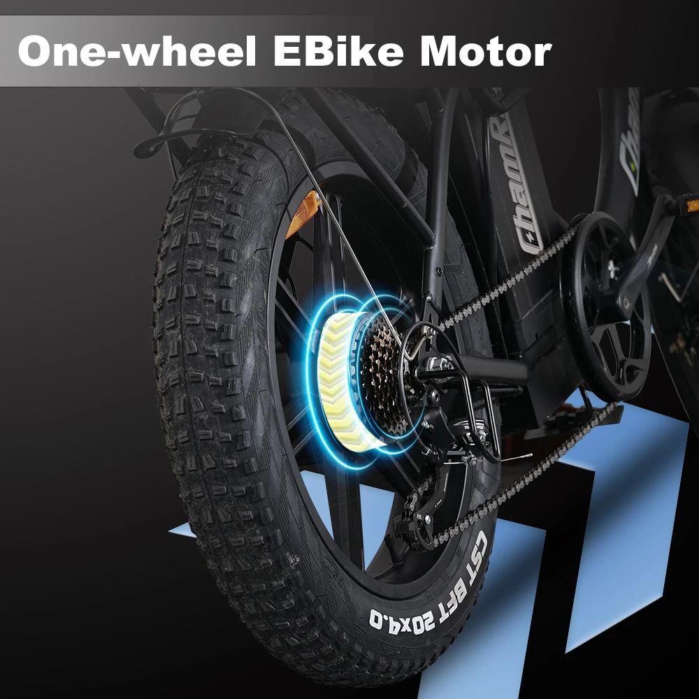ChamRider DT450 Ebike - 48V50AH Monster Battery, 250KM Epic Range & 750W Power - Ultimate Pick for European Delivery Experts