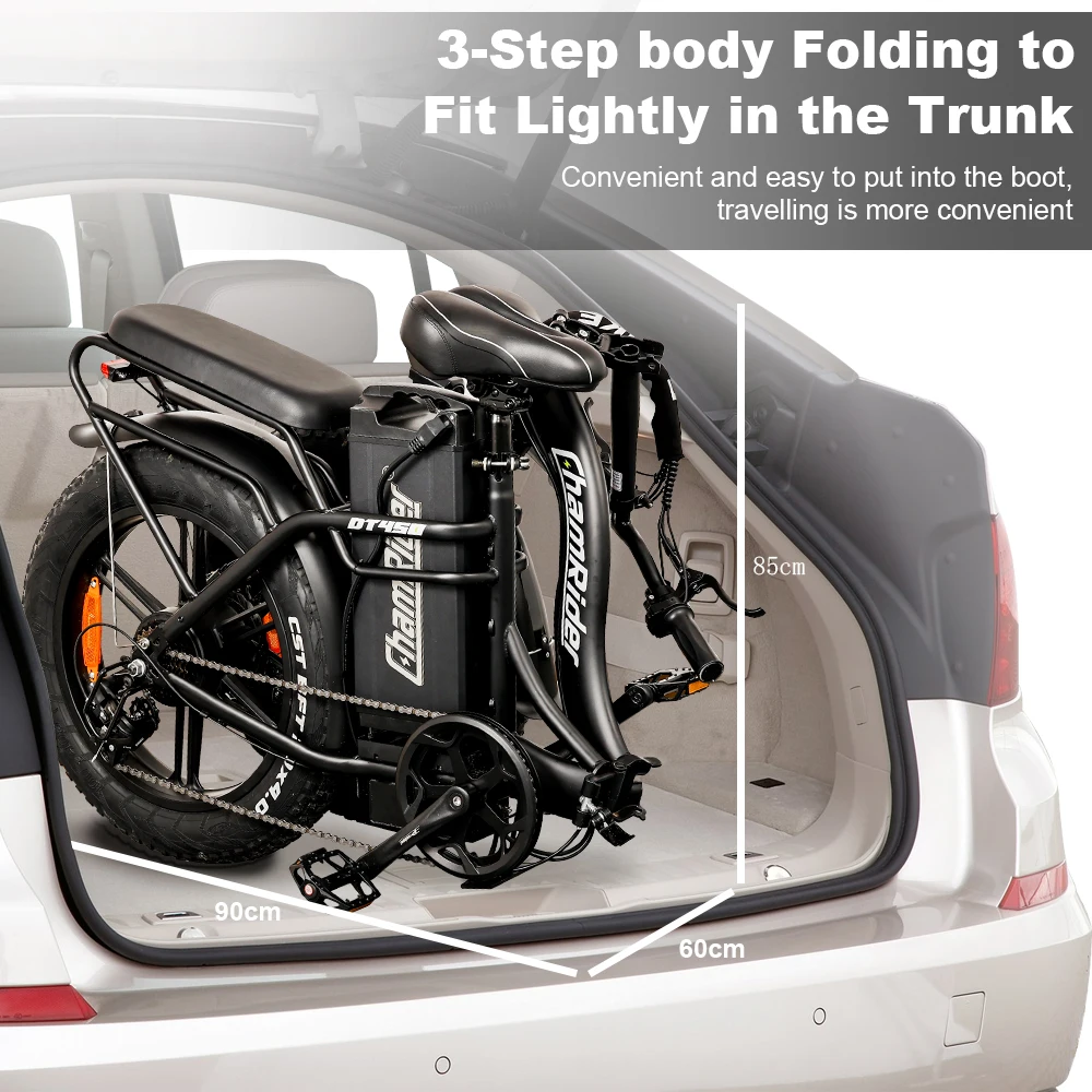 ChamRider DT450 Ebike - 48V50AH Monster Battery, 250KM Epic Range & 750W Power - Ultimate Pick for European Delivery Experts