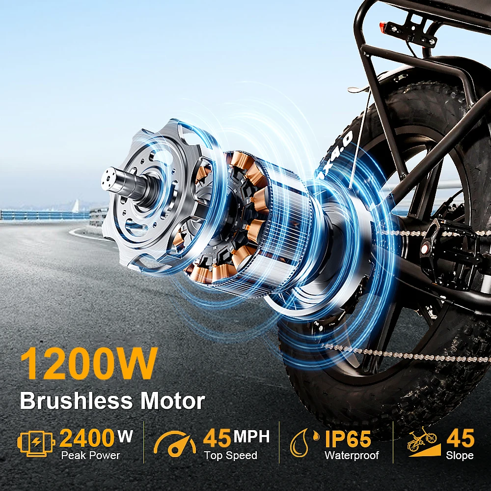 ChamRider DT450 Ebike - 48V50AH Monster Battery, 250KM Epic Range & 750W Power - Ultimate Pick for European Delivery Experts