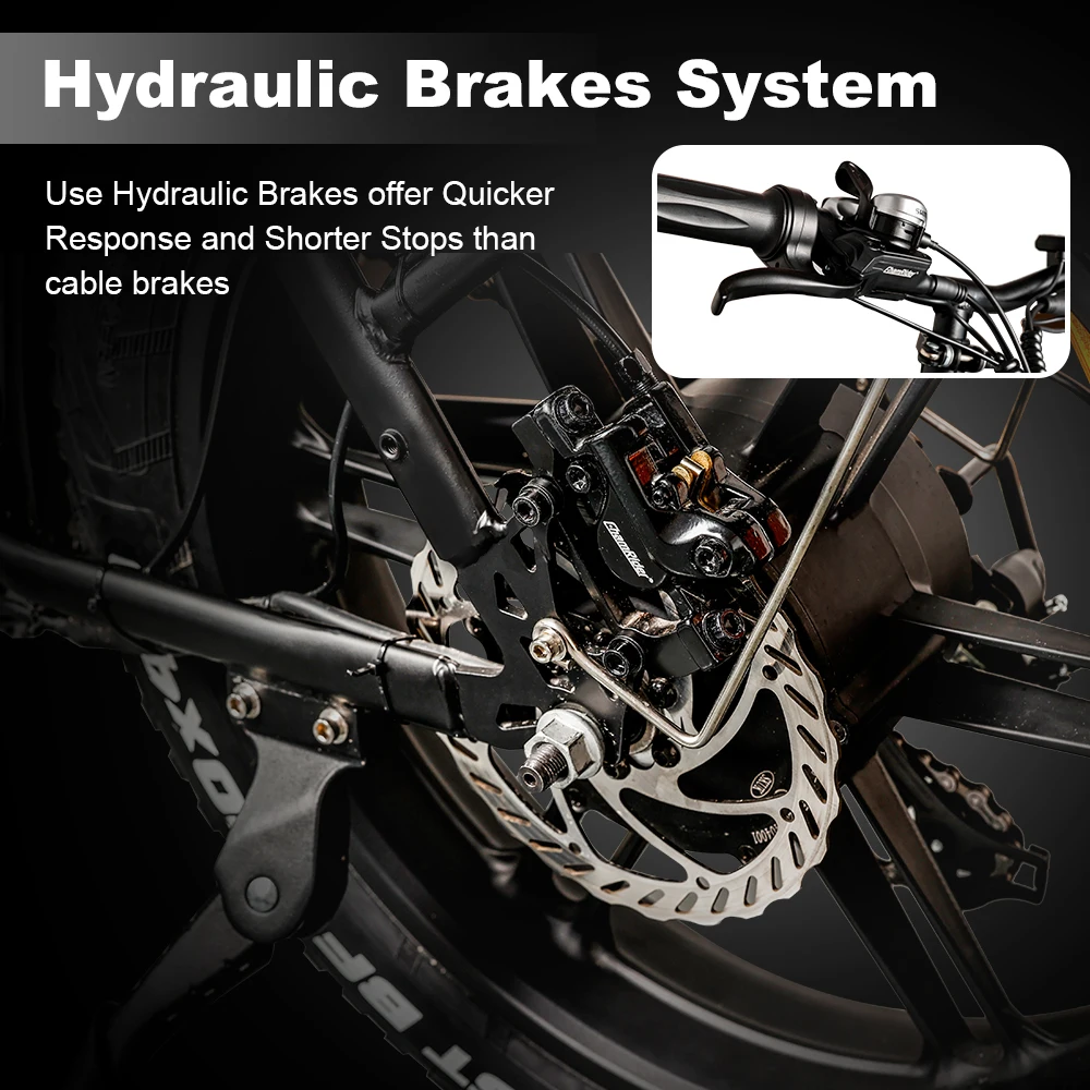 ChamRider DT450 Ebike - 48V50AH Monster Battery, 250KM Epic Range & 750W Power - Ultimate Pick for European Delivery Experts