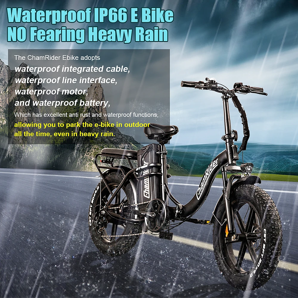 ChamRider DT450 Ebike - 48V50AH Monster Battery, 250KM Epic Range & 750W Power - Ultimate Pick for European Delivery Experts