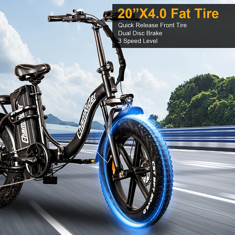 ChamRider DT450 Ebike - 48V50AH Monster Battery, 250KM Epic Range & 750W Power - Ultimate Pick for European Delivery Experts