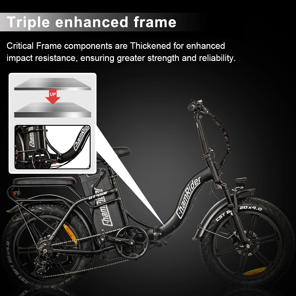 ChamRider DT450 Ebike - 48V50AH Monster Battery, 250KM Epic Range & 750W Power - Ultimate Pick for European Delivery Experts
