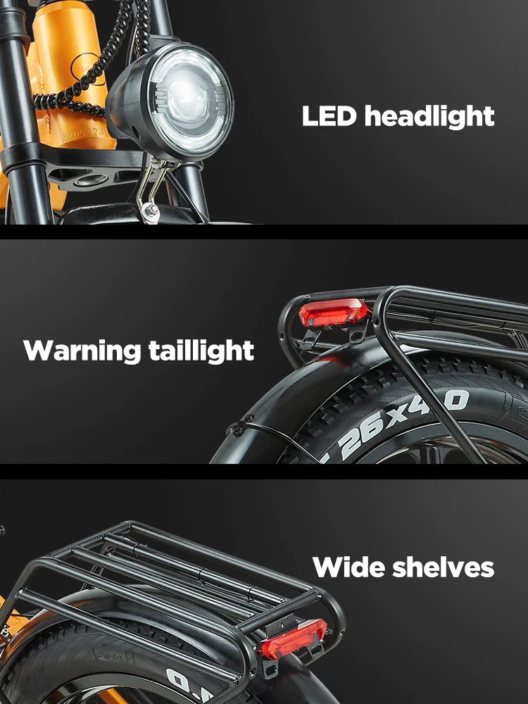 PULUMA PH003 Electric cycle twin Motor 48V20AH Removable Battery 26*4.0 Inch Fat hand Urban Off-Road Electric Bicycle
