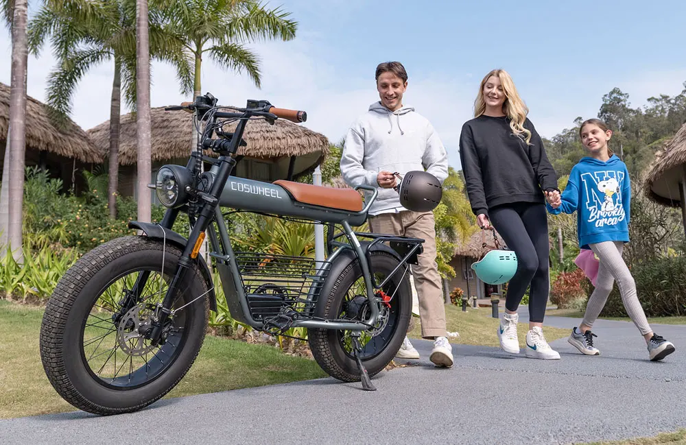 Coswheel Electric Bike CT20 1500W 48V 25AH Motorcycle 20Inch Fatbike Ebike Mountain bike Bikes Adult Electric Bicycle Free VAT