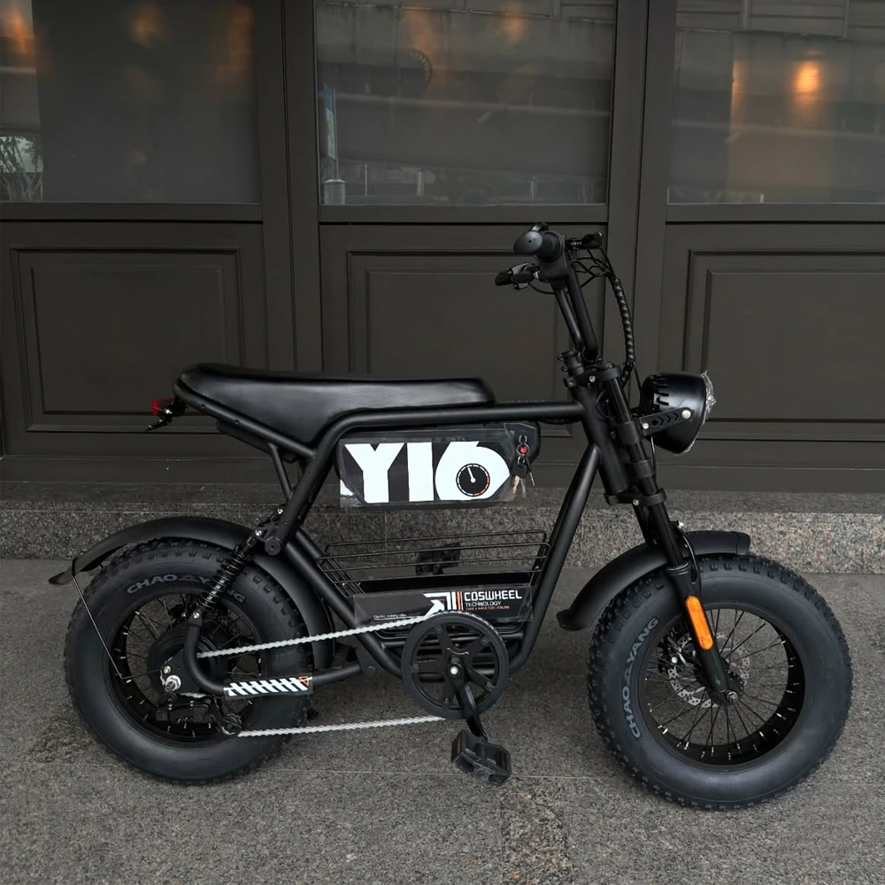 Coswheel Electric bike 1000W Electric Mountain Bikes Off Road Motorcycle 16Inch 48V 15AH Commuter Electric bicycle ebike