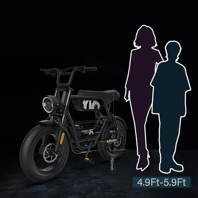 Coswheel Electric bike 1000W Electric Mountain Bikes Off Road Motorcycle 16Inch 48V 15AH Commuter Electric bicycle ebike