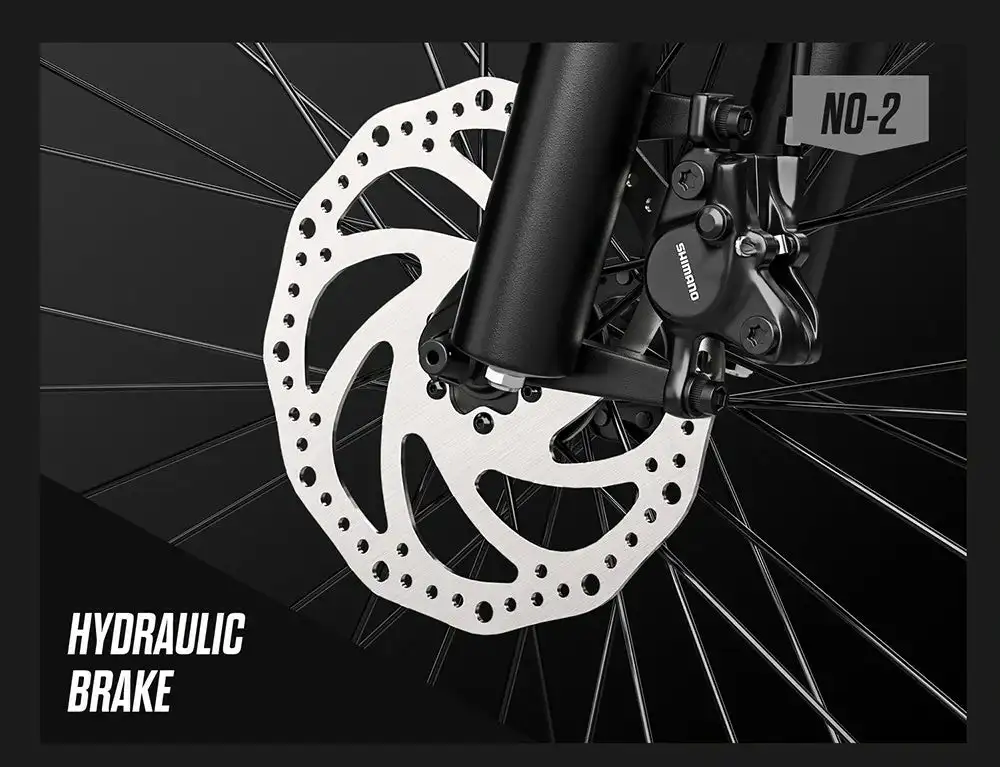 RANDRIDE YG90B Electric Bike 1000W Motor 45km/h Max Speed 48V17Ah Removable Battery 80-90KM Max Range 27.5*2.4'' CST Tires 120km