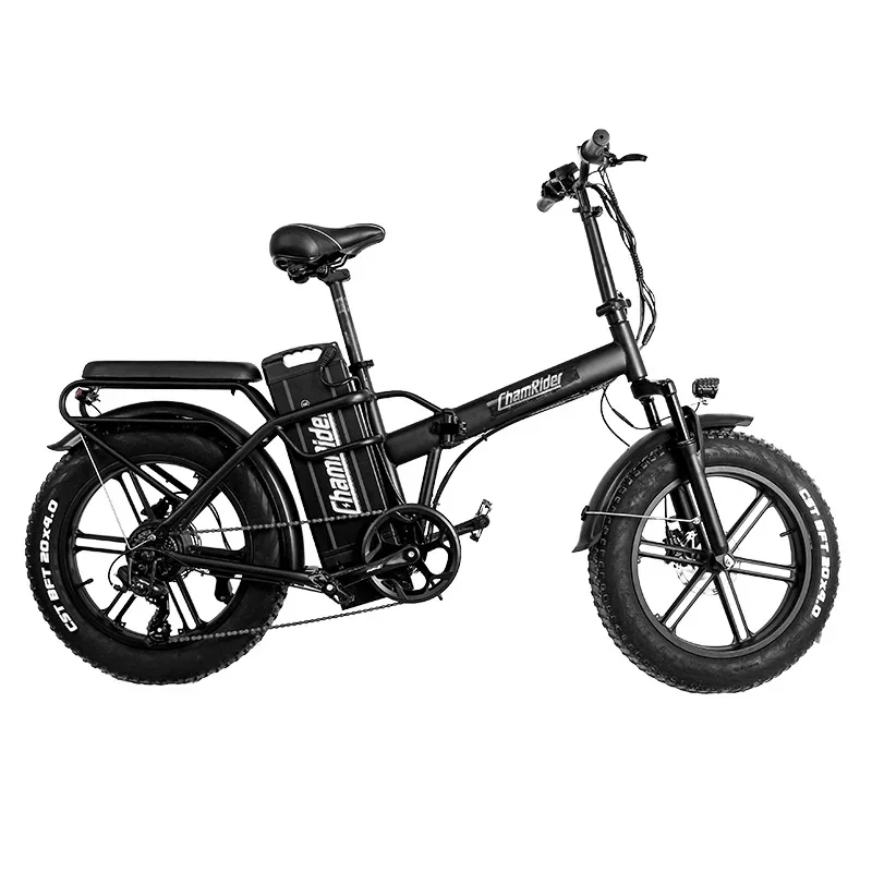 ChamRider DTS425 Ebike 48V25AH Battery 125KM Range 750W Power Best Value Choice for European Food Delivery Riders Electric Bike
