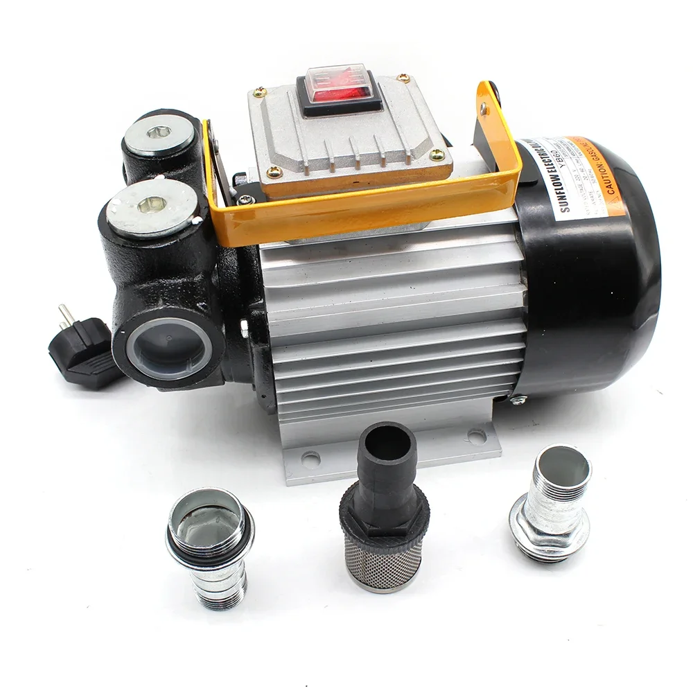 230V 550W Diesel Pump CE Certified 60L/min Flow 4m Conveyor Height for Diesel Heating Oil Only Durable Safe Impurity Filtration