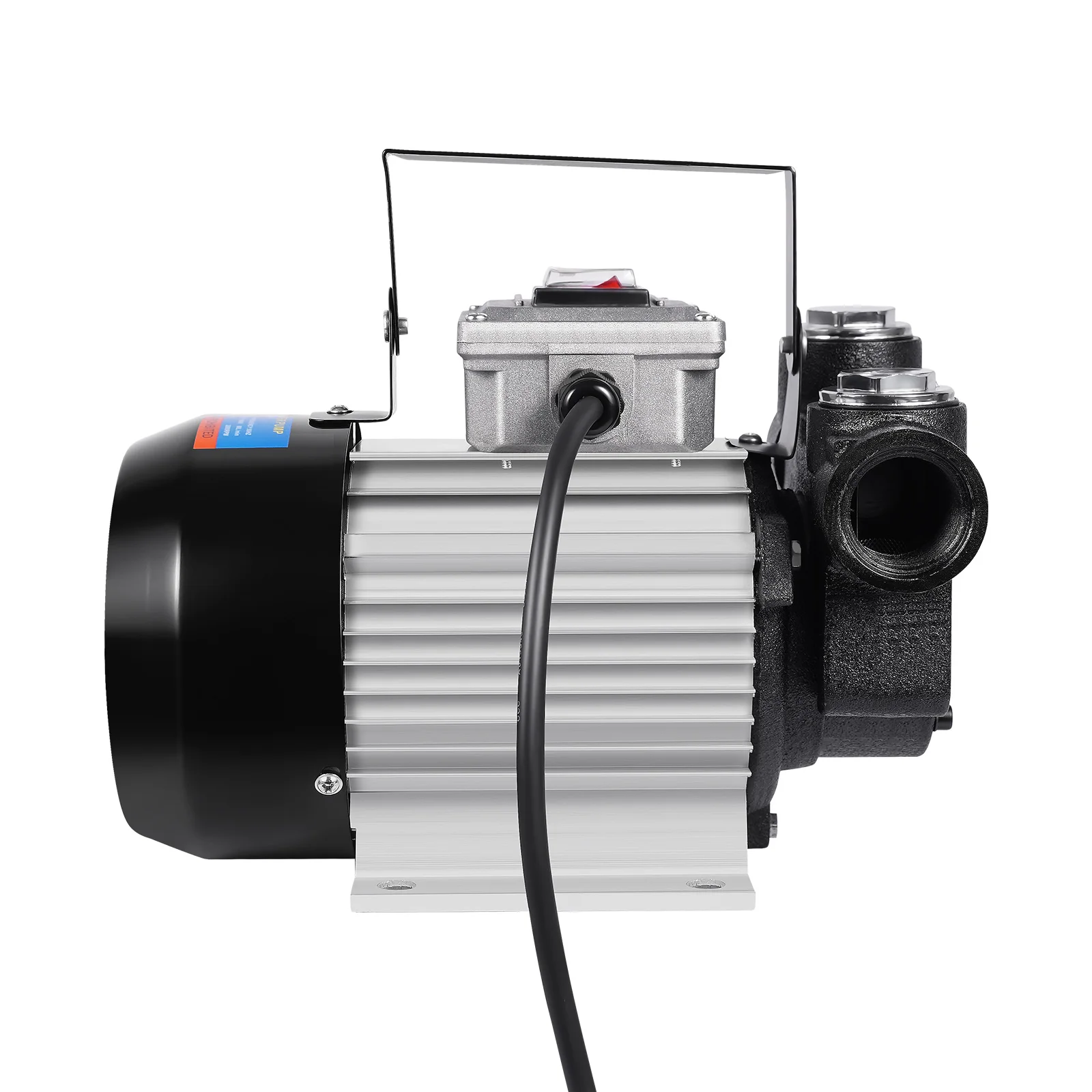 550w Self-priming Diesel Pump 60 L/min Bio Diesel Pump Electric Fuel Oil Pump Fuel Pump w/Fuel Filter and hose