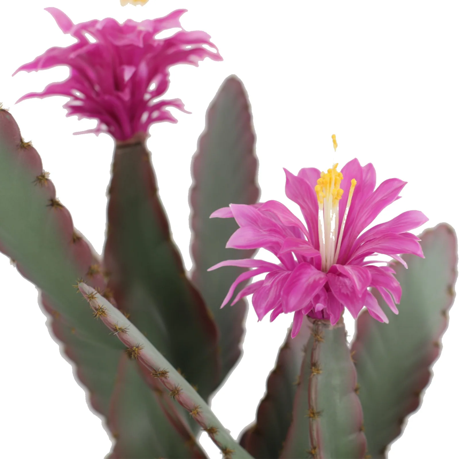 92cm Artificial Cactus Plant Realistic Texture Potted Fake Cactus Faux Cactus Plant For Home Garden Office Floor Decor