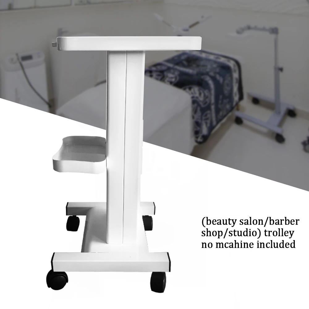 2-tier Salon Trolley with Socket Stand Rolling Cart Beauty Wheel Holder Spa Cart White 220V