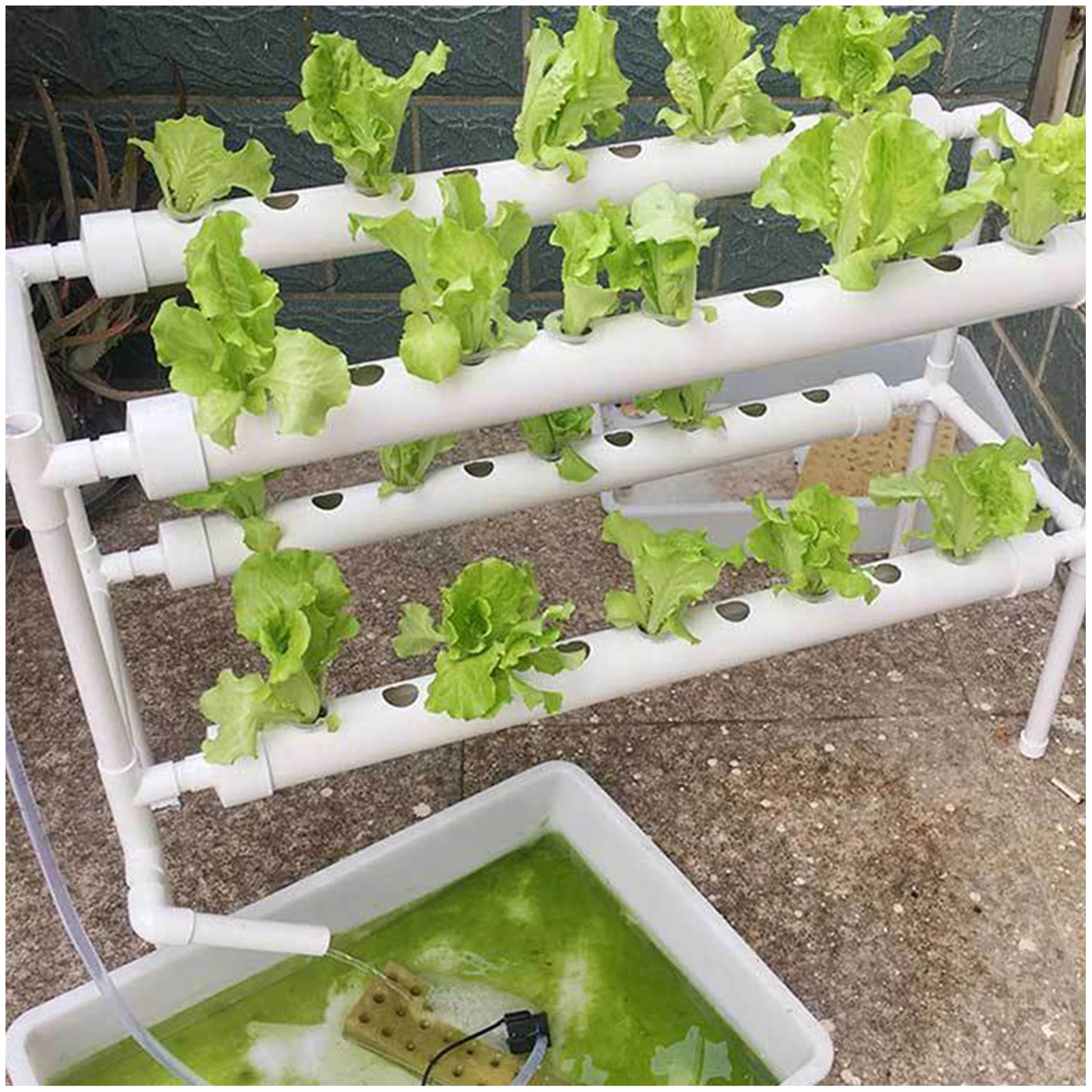 PVC Growing Kit Plant Vegetable Hydroponic System 2 Layers 36 Holes for Balcony Garden