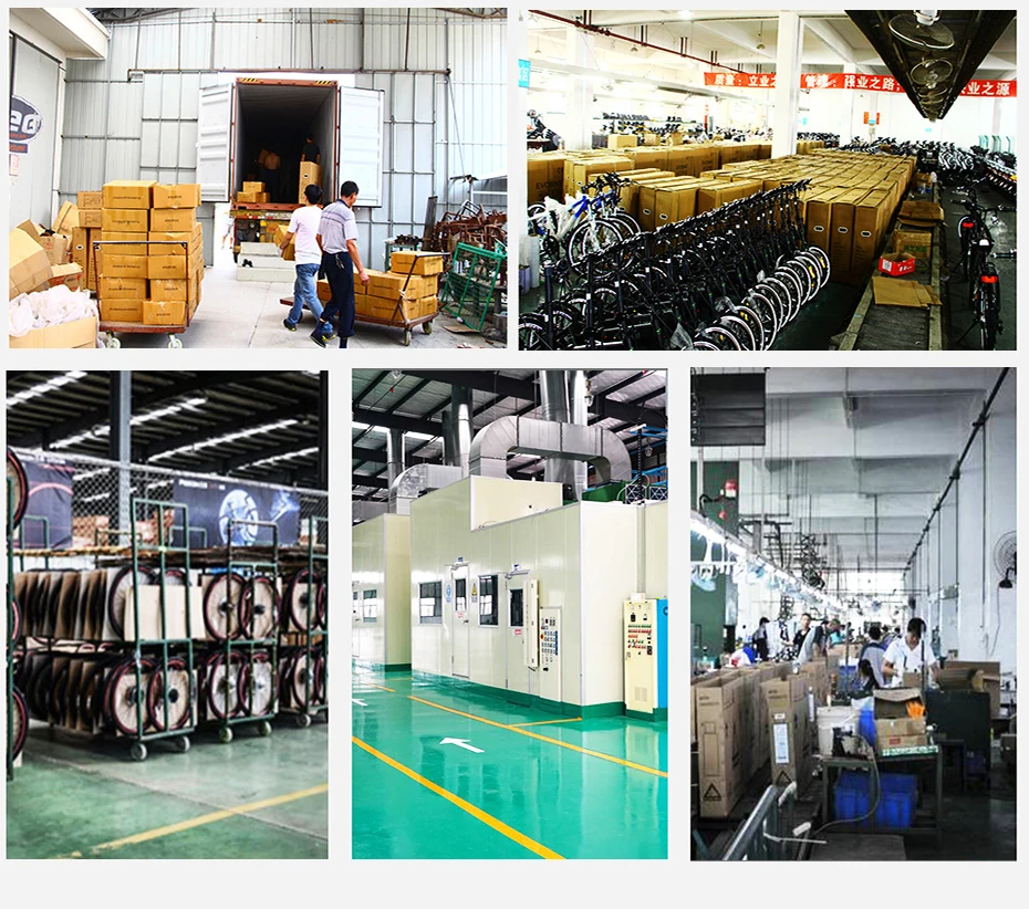 2000W 48V Electric Bike Coversion Kit 26''27.5''700C29'' Brusheless Gearless Hub Motor Wheel 20Ah Hailong Lithium Battery