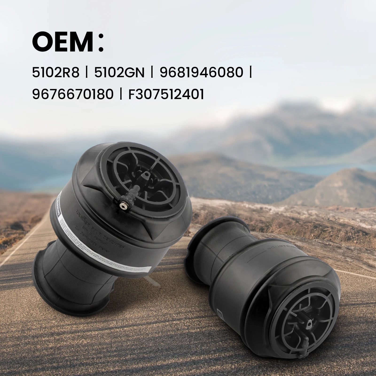Rear Air Ride Suspension Spring Bags For Citroen C4 Picasso 5102GN 5102R8 Pair