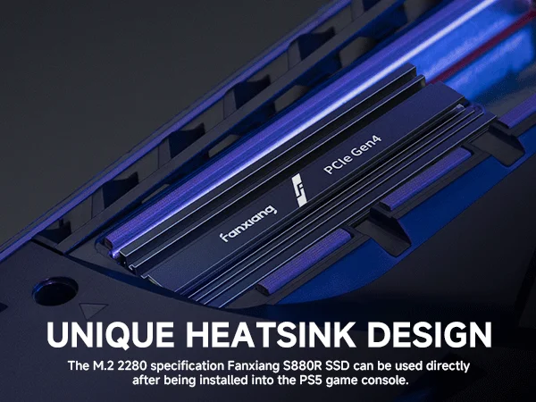 Fanxiang M.2 SSD 1TB 2TB 4TB 7300MB/s M.2 NVMe PCIe4.0x4 SSD Internal Solid State Drive For PS5 PC EU US Local Delivery S880R