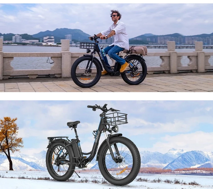 Ridstar MN26 Electric Bike Motor 48V 20AH Battery 26*4.0Inch Fat Tire Off-Road Adult Mountain Snowfield Electric Bicycle