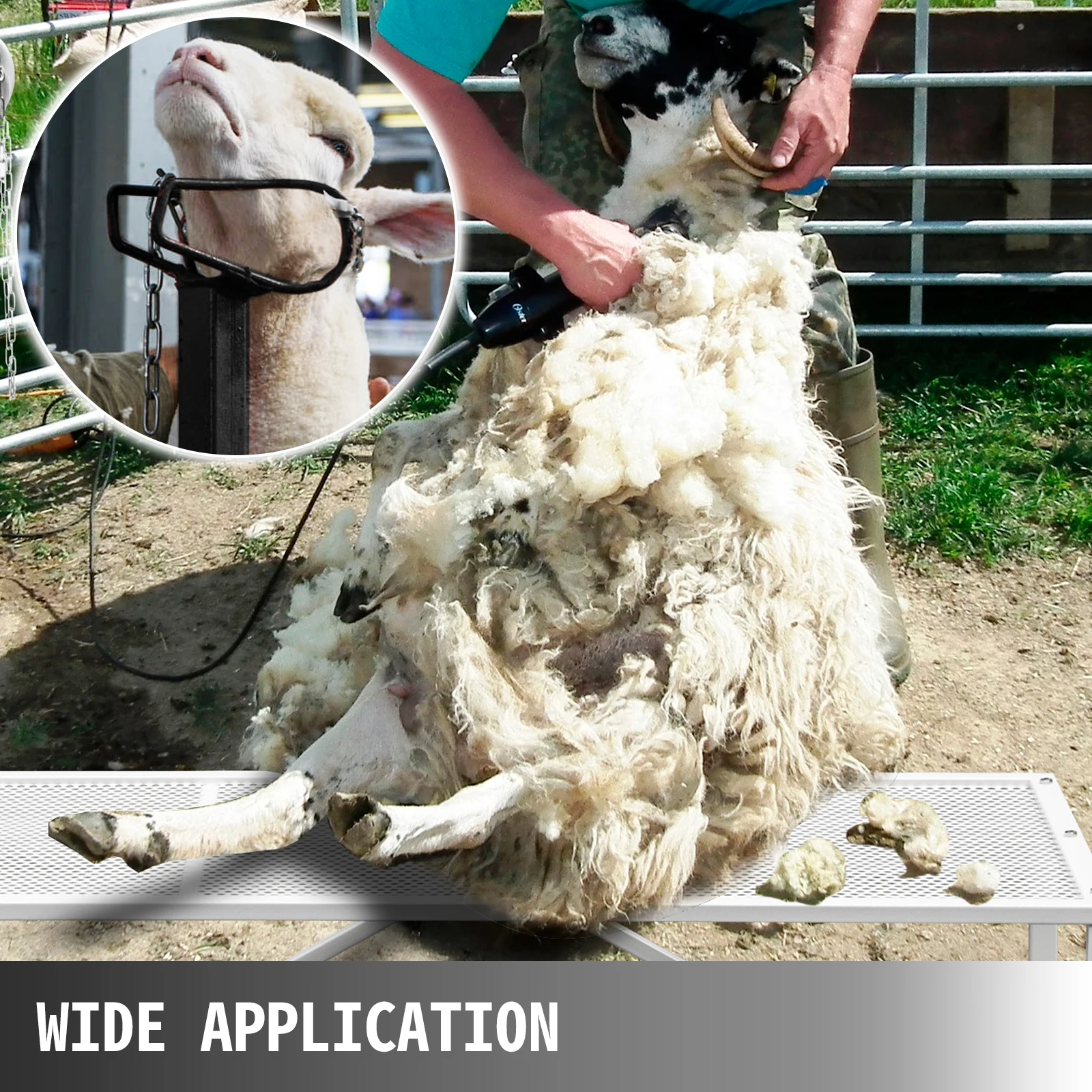 SucceBuy Livestock Stand Trimming Stand with Straight Head Piece Goat Trimming Stand Metal Frame Livestock Trimming Stands