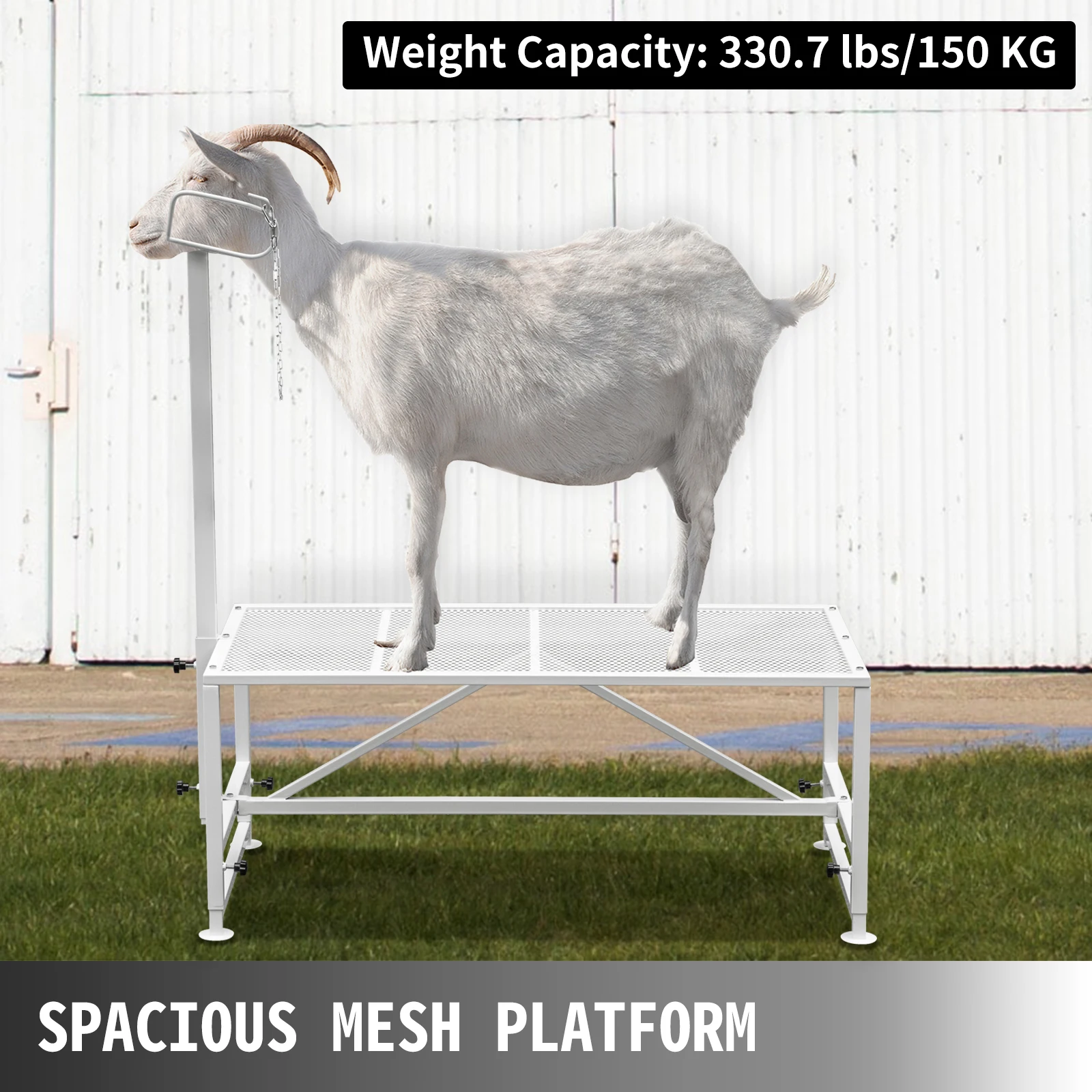 SucceBuy Livestock Stand Trimming Stand with Straight Head Piece Goat Trimming Stand Metal Frame Livestock Trimming Stands