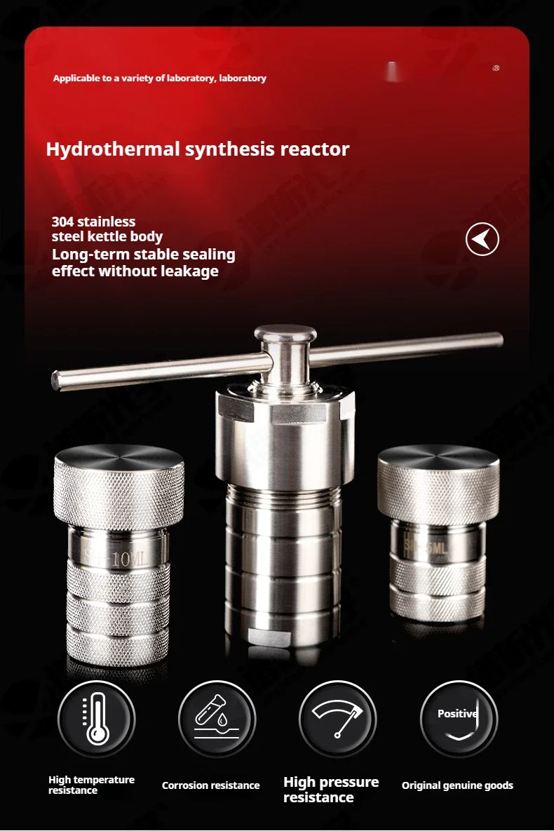 25ml PTFE Lined Hydrothermal Synthesis Autoclave Reactor 3Mpa 304 Steel High Pressure Hydrothermal Digestion Tank PTFE