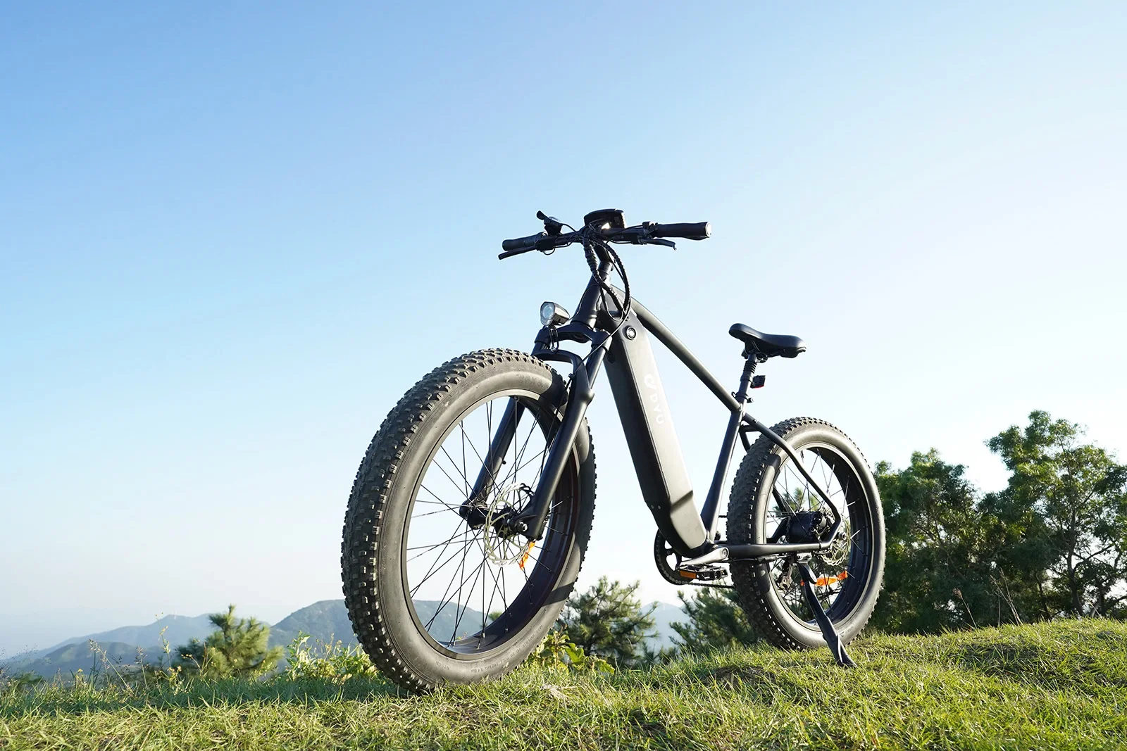 DYU King-750  Electric Bike  48V20Ah Battery 26*4 inch Fat Tire All-terrain Electric bicycle