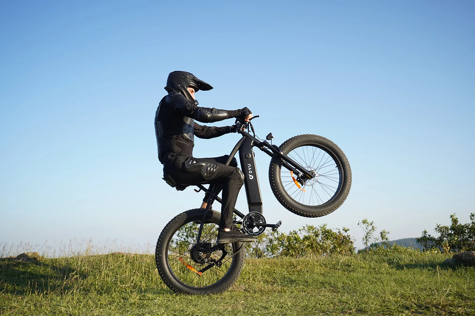 DYU King-750  Electric Bike  48V20Ah Battery 26*4 inch Fat Tire All-terrain Electric bicycle
