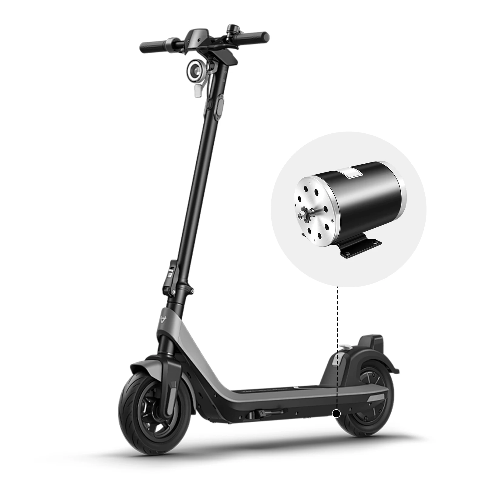 1000W 36V MY1020 Brush Motor 3000RPM Brushed DC Electric Motor Electric Motor High Torque for Scooter Go-Kart Motorcycle E-Bike