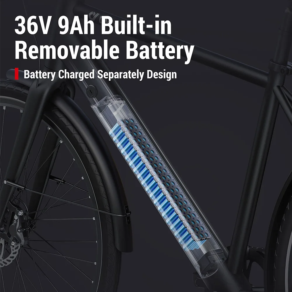 DYU Stroll 1 Electric Bike 250W Motor Electric Bicycle 36V 9Ah Battery 700*38C Tire E-bike 25km/h Max Speed 67KM Adult E-Bicycle
