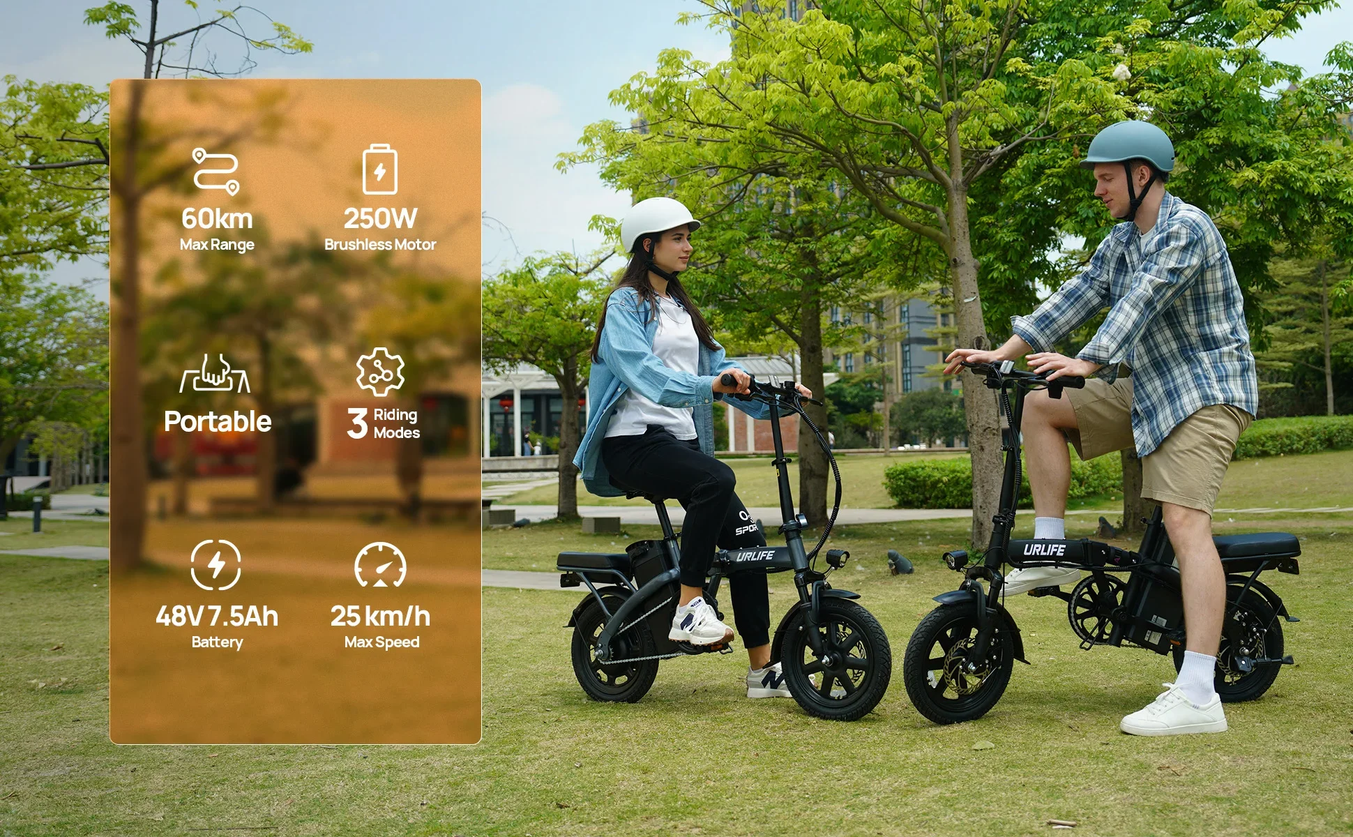 URLIFE F1L Adult Electric Bike 250W Motor 14 Inch Foldable City Commuter Bike with Rear Rack Unisex
