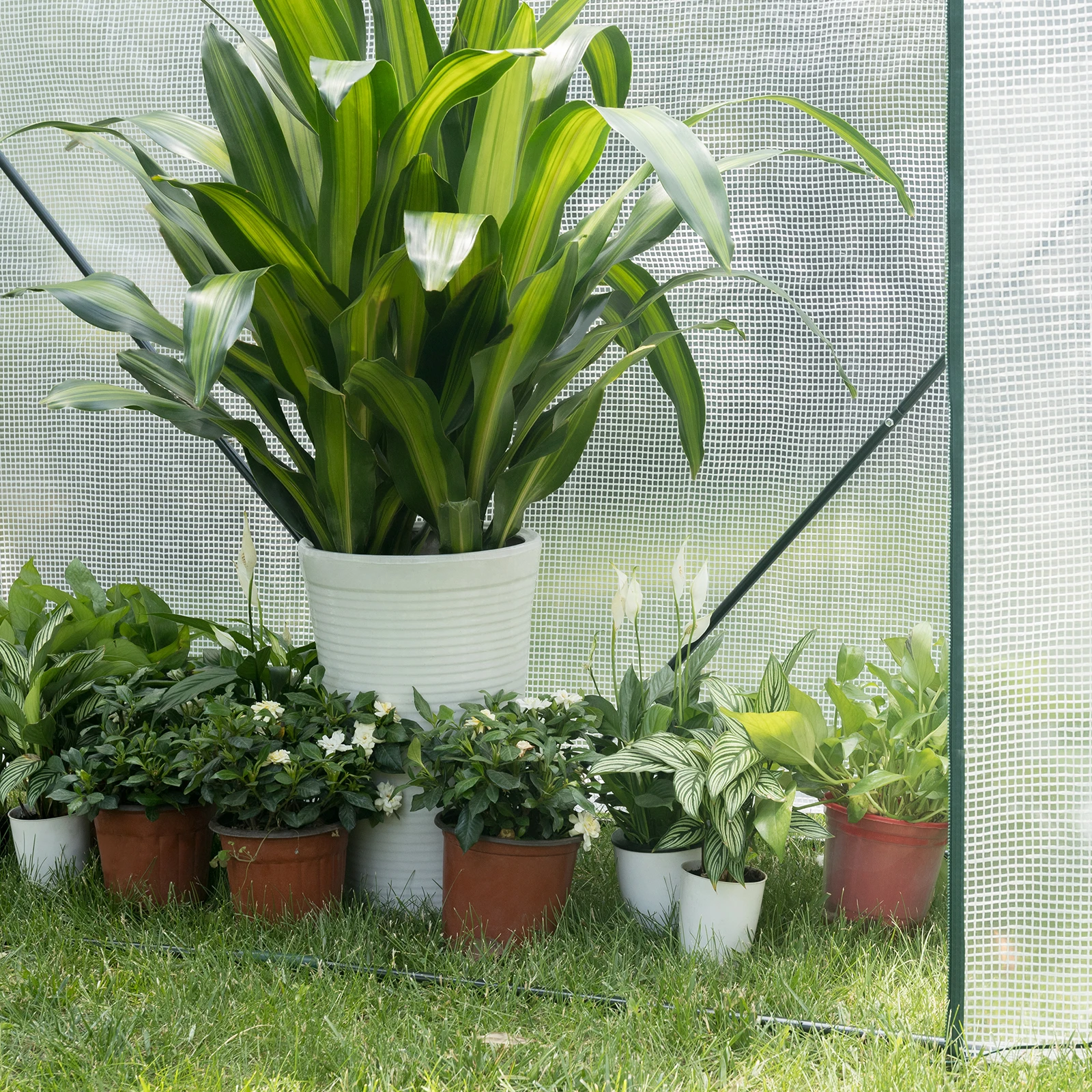 WOLTU Polythene Greenhouse PE Semi-Transparent Flower Vegetables Garden Outdoor Waterproof Tarpaulin Multi-Purpose Plant House