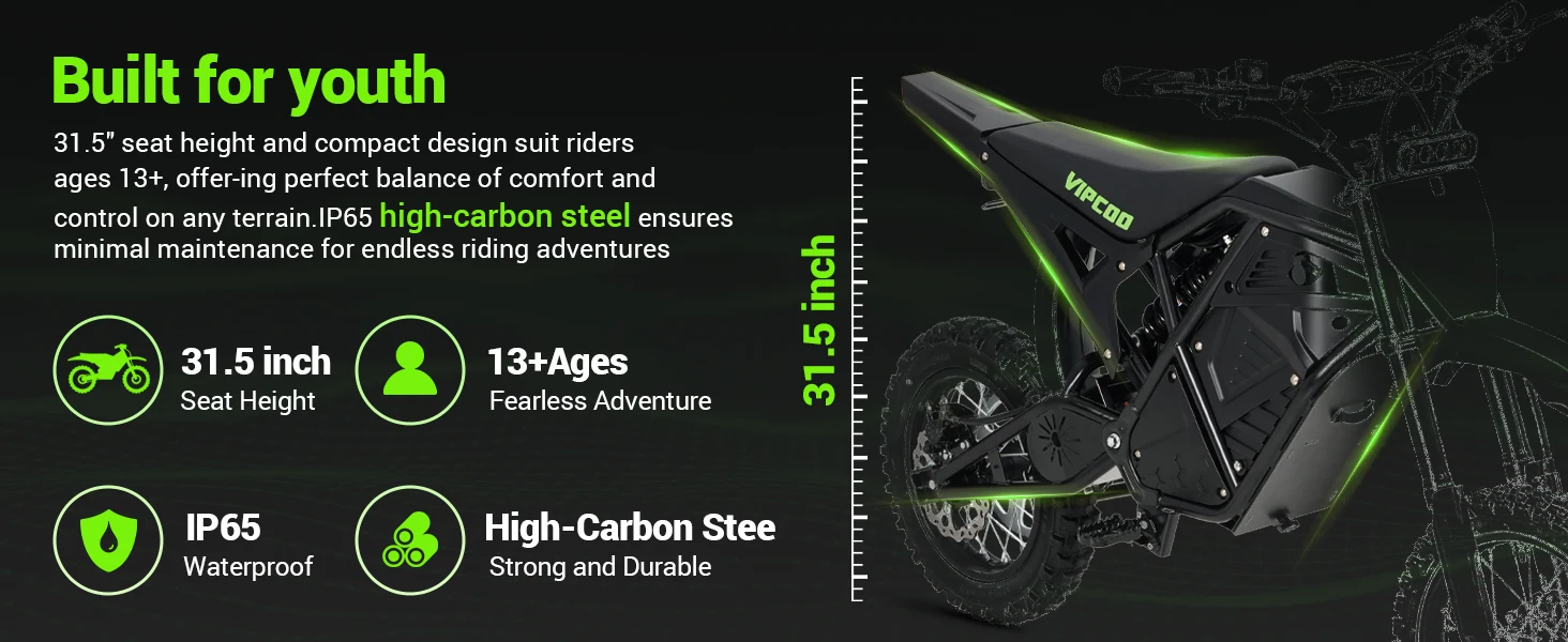 Electric Dirt Bike Vipcoo H3 3500W 48V 23Ah Electric Motorcycle Fat Tire Nitrogen Suspension E Dirt Bike for Teens and Adults