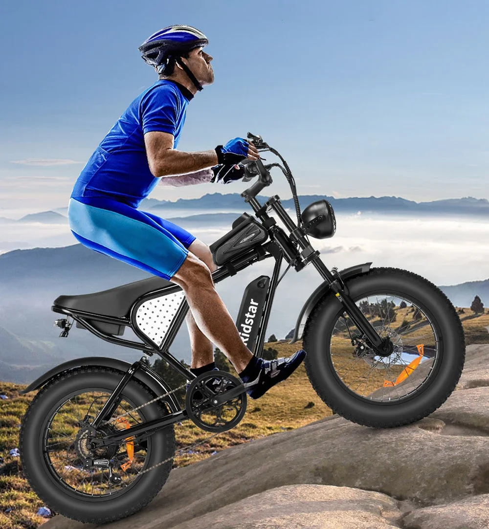 Ridstar Q20 48V 1000W 15Ah Electric Bike Adult Fat Tire E Bike 60KM Electric Bicycle 20 Inch Moped-Styled Ebike 45KM/H Motorbike