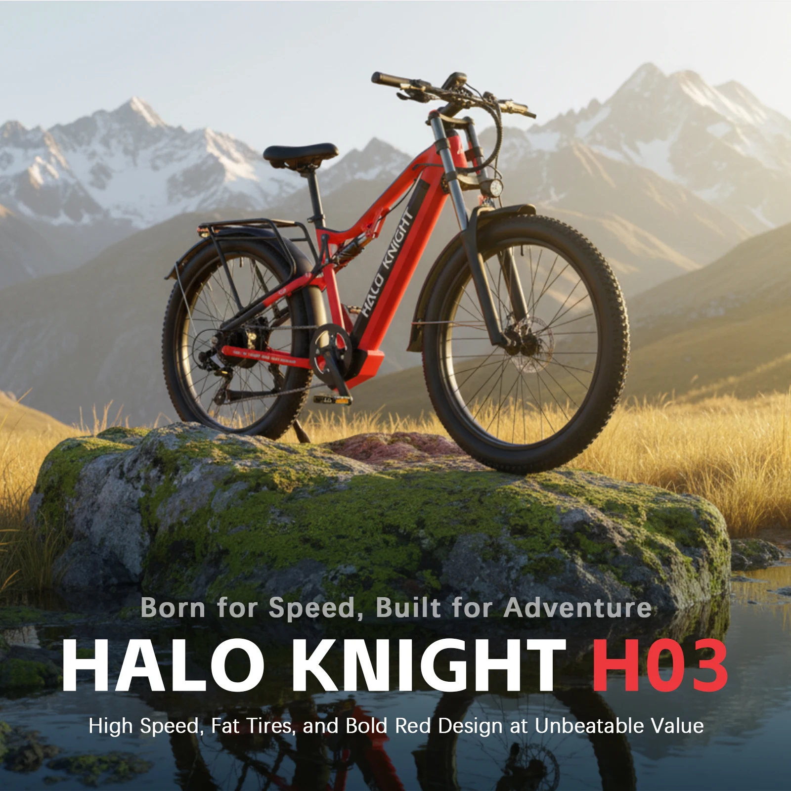 HALO KNIGHT H03 48V 1000W 19.2Ah Electric Bikes Fat Tire Adult Ebike 45km/h Electric Bicycles Hydraulic Brake Electric Motorbike
