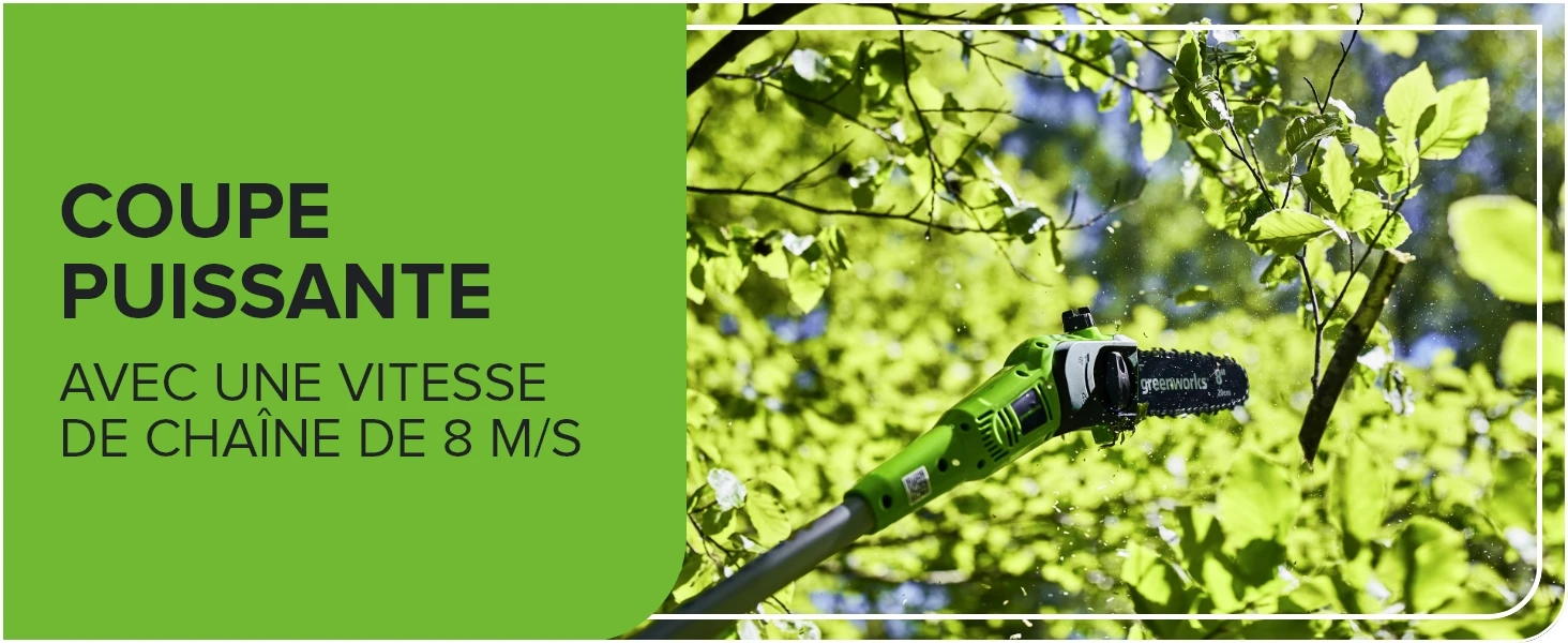 Greenworks 24V 2-in-1 Polesaw and Hedge Trimmer with Shoulder Strap 8inch Polesaw and 51cm Trimmer with 2Ah Battery and Charger