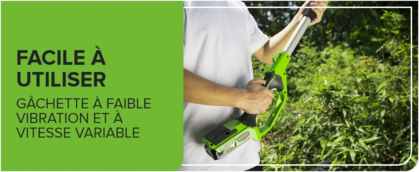 Greenworks 24V 2-in-1 Polesaw and Hedge Trimmer with Shoulder Strap 8inch Polesaw and 51cm Trimmer with 2Ah Battery and Charger