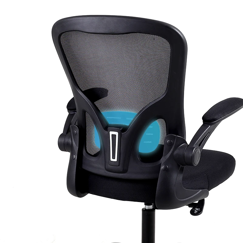 Ralex-chair Office Chair, Desk Chair with Flip-Up Armrests, Ergonomic Mesh Office Chair with Lumbar Support, Black