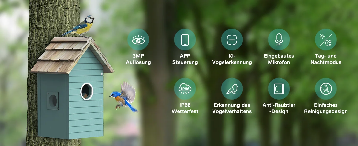 Real-time observation of nest construction 5 million pixel Outdoor Birdhouse camera DIY birdhouse nest box with camera