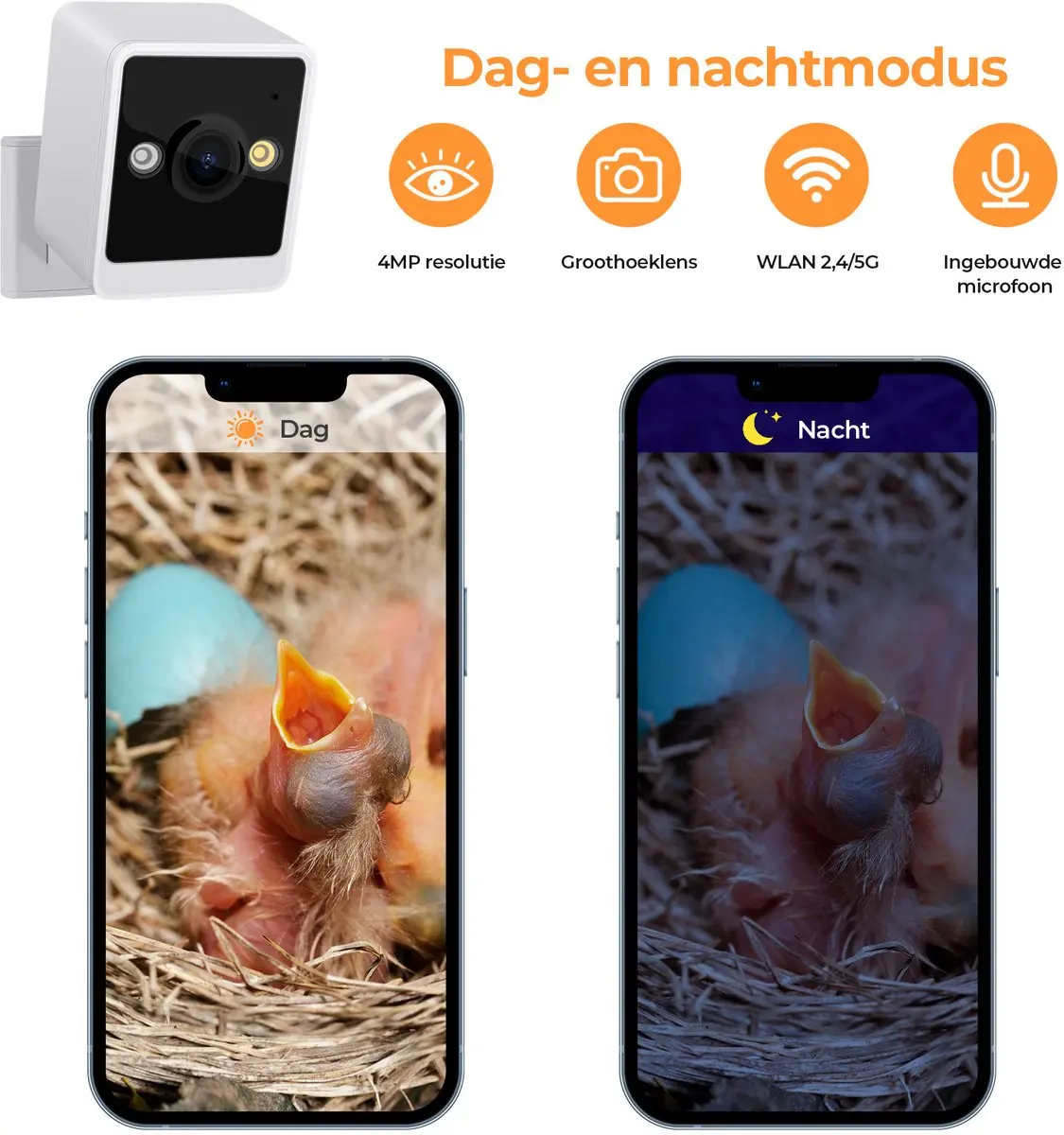 Real-time observation of nest construction 5 million pixel Outdoor Birdhouse camera DIY birdhouse nest box with camera