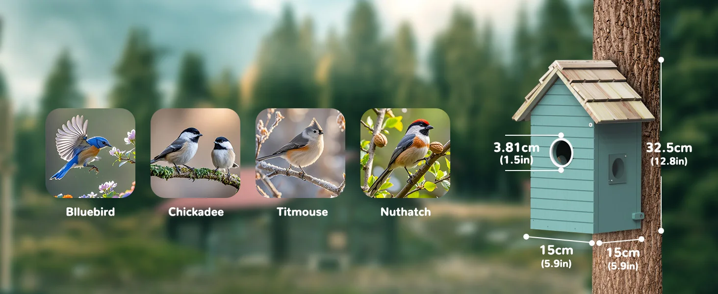 Real-time observation of nest construction 5 million pixel Outdoor Birdhouse camera DIY birdhouse nest box with camera