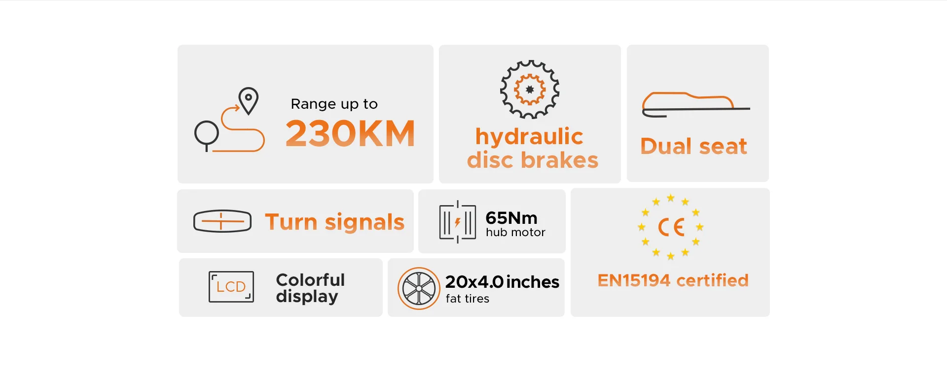 Adult Electric Bike 250W Motor 20” Fat Tire E-bike 48V 15.6AH+13AH Dual Battery Hydraulic Brake Full Suspension ElectricBicycle