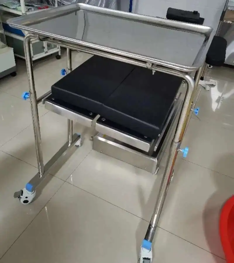 Thickened 304 Stainless Steel Auxiliary Cart with Wheels Multifunctional Medical Tray Rack Organizer Cart Medical Tool Trolley