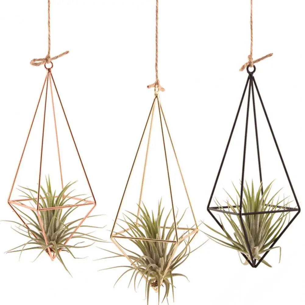 Iron Propagation Stations Glass Terrarium Plant Geometric Shape Plant Iron Stand Air Plant Holder Home Office Gardening Decor