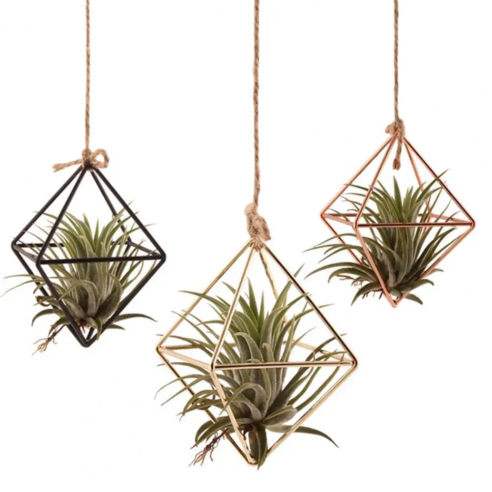 Iron Propagation Stations Glass Terrarium Plant Geometric Shape Plant Iron Stand Air Plant Holder Home Office Gardening Decor