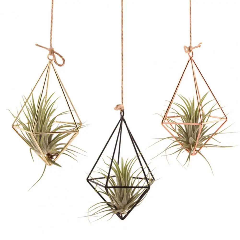 Iron Propagation Stations Glass Terrarium Plant Geometric Shape Plant Iron Stand Air Plant Holder Home Office Gardening Decor