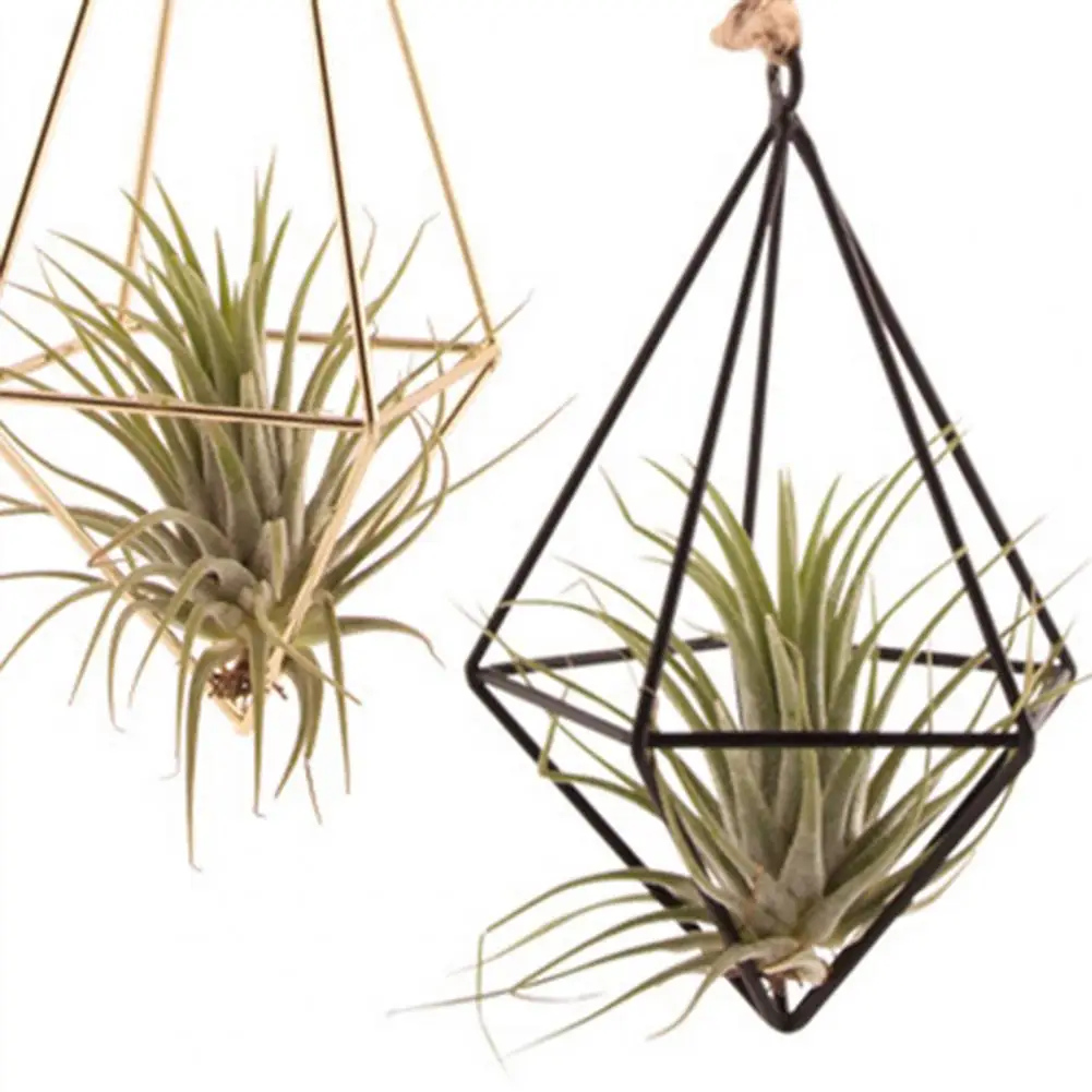 Iron Propagation Stations Glass Terrarium Plant Geometric Shape Plant Iron Stand Air Plant Holder Home Office Gardening Decor
