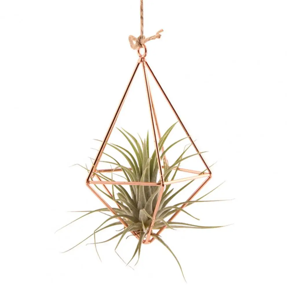 Iron Propagation Stations Glass Terrarium Plant Geometric Shape Plant Iron Stand Air Plant Holder Home Office Gardening Decor