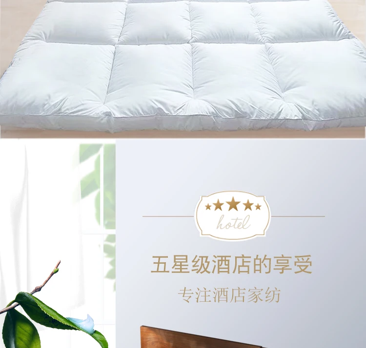 10cm Thick And Comfortable Tatami Floor Mattress/Bed Fashion Comfy Futon For Five Star Hotel Nap Thickened Single Use Sleeping