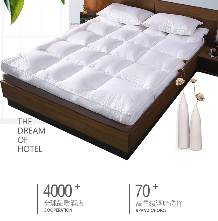 10cm Thick And Comfortable Tatami Floor Mattress/Bed Fashion Comfy Futon For Five Star Hotel Nap Thickened Single Use Sleeping