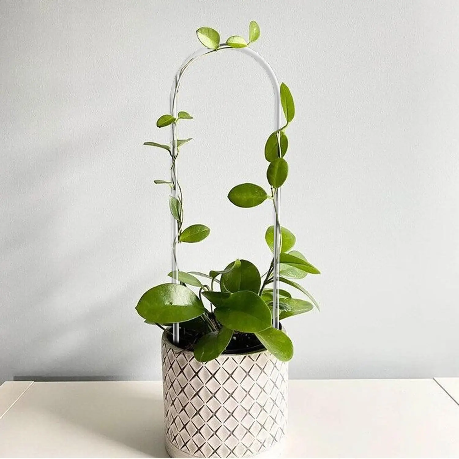 U-Shaped Acrylic Plant Climbing Stakes-for Indoor/Outdoor Vines,Flowers&Garden Plants- Lightweight Stakes for Healthy Growth